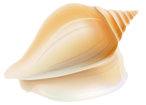 shree_vishnuu_sankha_png_image